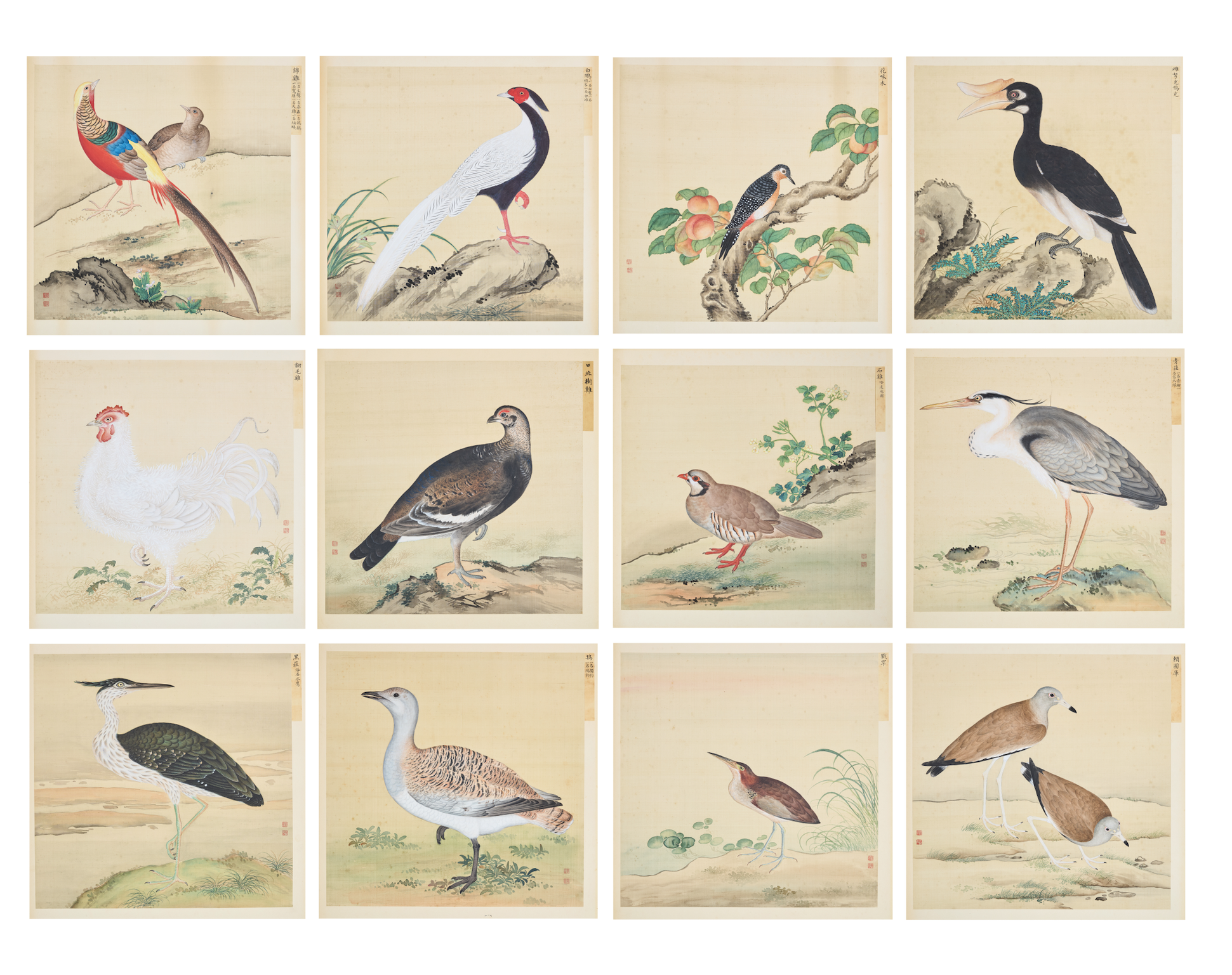 Roseberys Presents: An Imperial Manual of Birds by Jiang Tingxi