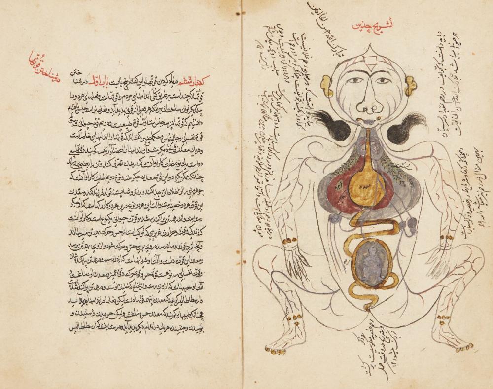 Kitab Tashrih Dhakhira Khwarazmshahi, Safavid Iran, dated Thursday beginning of Shawal AH 10[1?]3/17th century, 106ff., Persian manuscript on paper with 19ll. of black naskh per page, important words in red, with 6 internal illustrations of the body, a medical commentary apparently on Al-Jurjani’s (d. 1136 AD) Al-Dhakhira al-Khwarazmshah