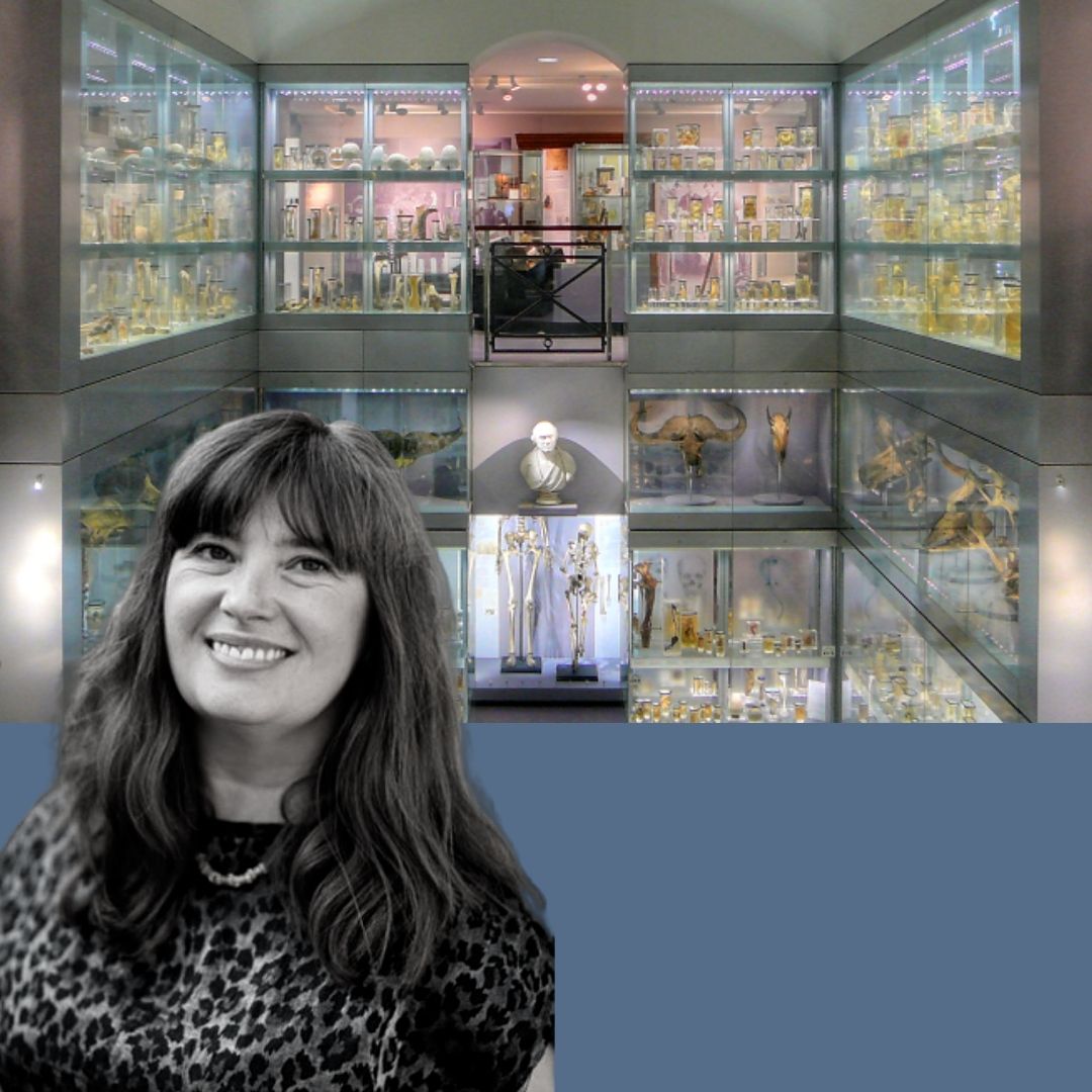 Alice Bailey Museum 