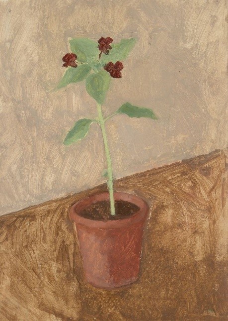 Patrick George, British b.1923- Plant in a pot, c.1970s; oil on board,